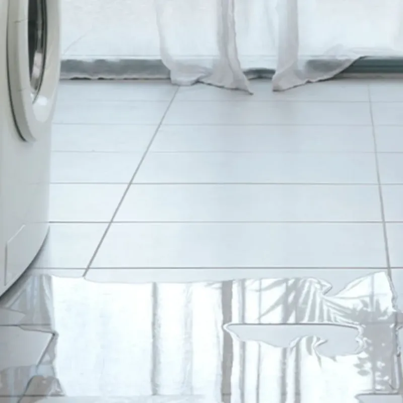 Appliance Leak Cleanup in Calhoun, GA