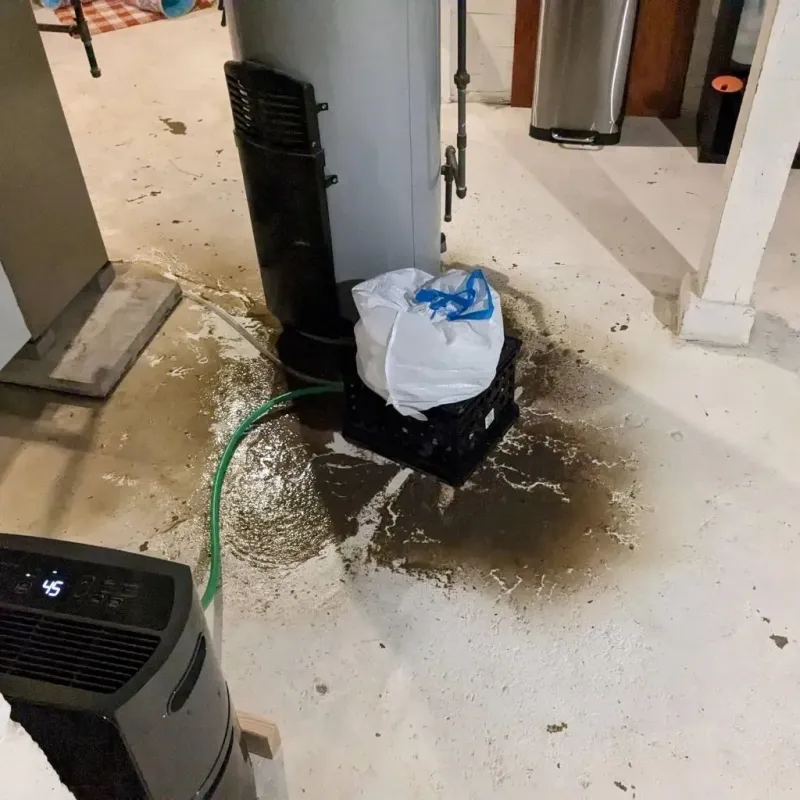 Sewage Backup Cleanup Service in Calhoun, GA